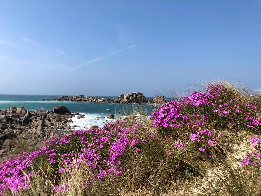 Kerfloreve Plouescat Holiday home